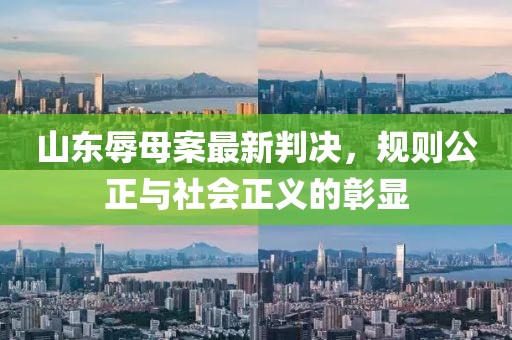 山東辱母案最新判決，規(guī)則公正與社會(huì)正義的彰顯