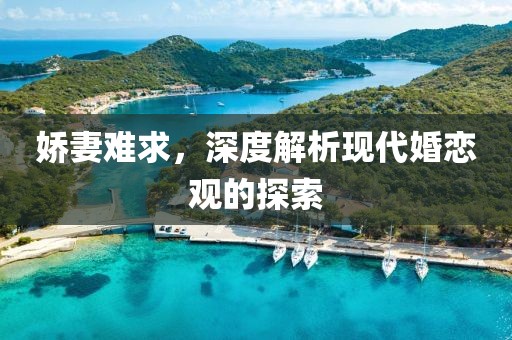 嬌妻難求，深度解析現(xiàn)代婚戀觀的探索