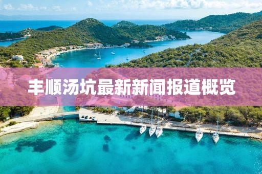 豐順湯坑最新新聞報(bào)道概覽