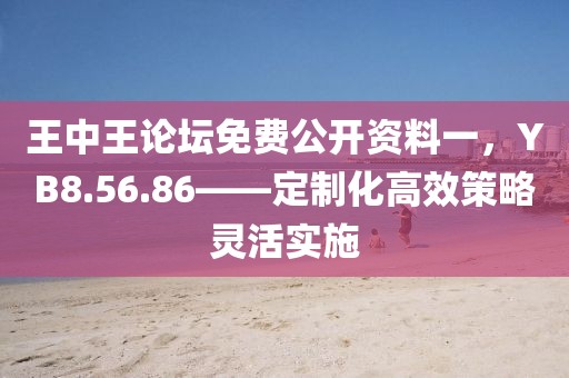 王者榮耀最新版Bug解析及應(yīng)對策略