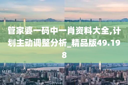 管家婆一碼中一肖資料大全,計(jì)劃主動(dòng)調(diào)整分析_精品版49.198