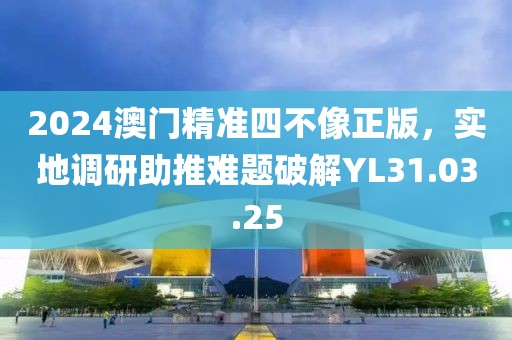 2024澳門天天開好彩大全正版,實踐評估說明_訂制版32.904