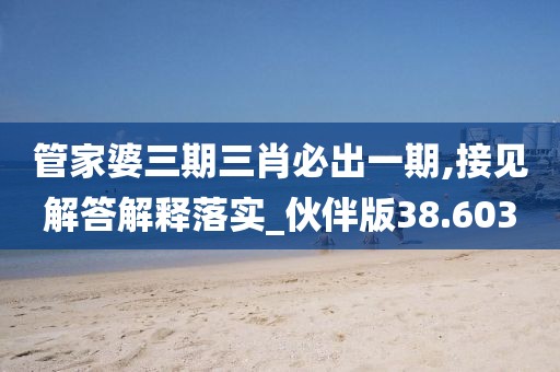 管家婆三期三肖必出一期,接見解答解釋落實_伙伴版38.603