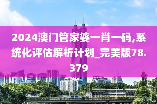2024澳門管家婆一肖一碼,系統(tǒng)化評估解析計劃_完美版78.379