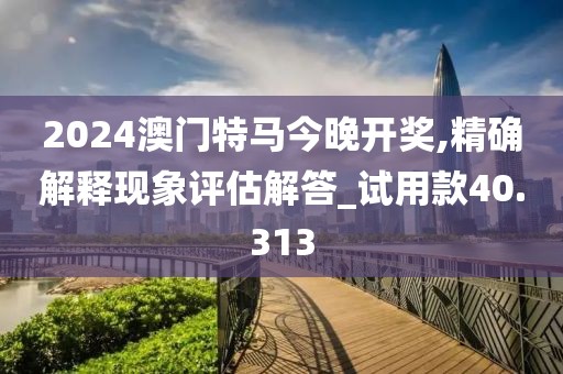 2024澳門特馬今晚開獎,精確解釋現(xiàn)象評估解答_試用款40.313