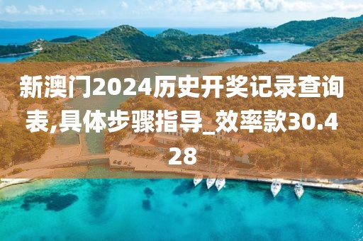 新澳門2024歷史開獎記錄查詢表,具體步驟指導(dǎo)_效率款30.428