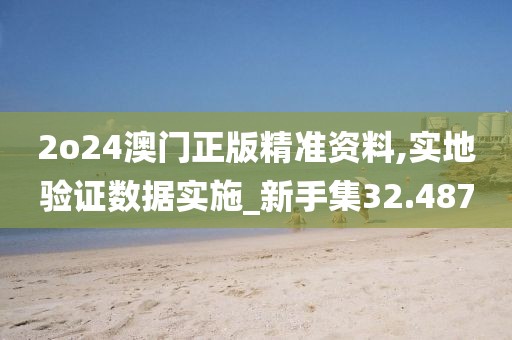 2o24澳門(mén)正版精準(zhǔn)資料,實(shí)地驗(yàn)證數(shù)據(jù)實(shí)施_新手集32.487