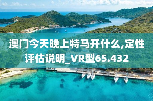 澳門今天晚上特馬開什么,定性評(píng)估說明_VR型65.432
