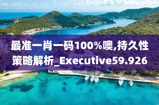 最準(zhǔn)一肖一碼100%噢,持久性策略解析_Executive59.926