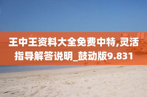 王中王資料大全免費中特,靈活指導(dǎo)解答說明_鼓動版9.831
