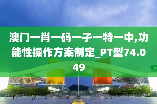 澳門一肖一碼一孑一特一中,功能性操作方案制定_PT型74.049
