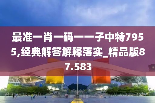最準(zhǔn)一肖一碼一一子中特7955,經(jīng)典解答解釋落實(shí)_精品版87.583