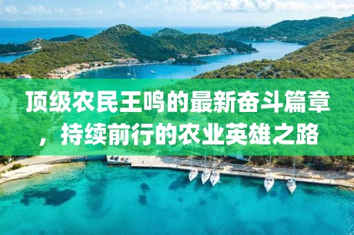 頂級農(nóng)民王鳴的最新奮斗篇章，持續(xù)前行的農(nóng)業(yè)英雄之路