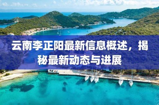 云南李正陽最新信息概述，揭秘最新動態(tài)與進(jìn)展