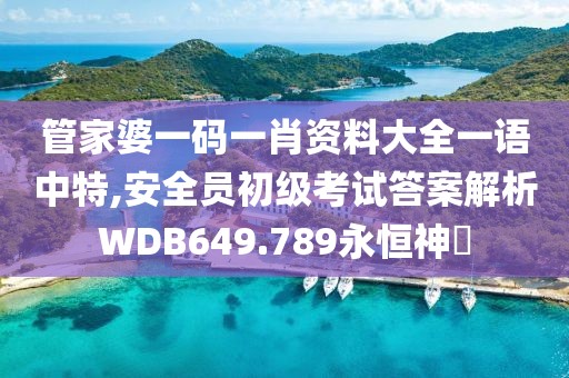 管家婆一碼一肖資料大全一語中特,安全員初級考試答案解析WDB649.789永恒神衹
