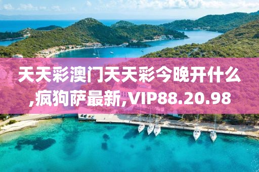 天天彩澳門天天彩今晚開什么,瘋狗薩最新,VIP88.20.98