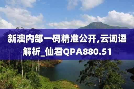 新澳內部一碼精準公開,云詞語解析_仙君QPA880.51