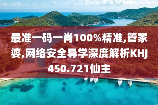 最準一碼一肖100%精準,管家婆,網絡安全導學深度解析KHJ450.721仙主