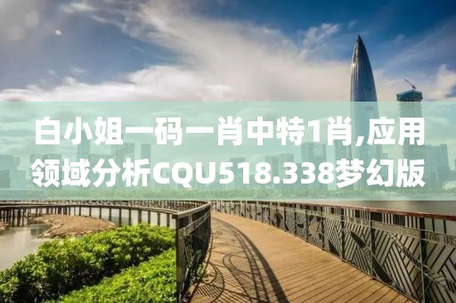 白小姐一碼一肖中特1肖,應(yīng)用領(lǐng)域分析CQU518.338夢(mèng)幻版