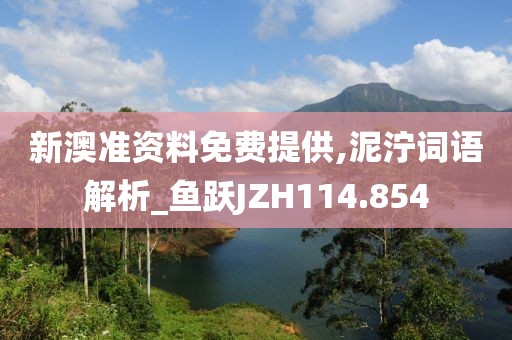 新澳準(zhǔn)資料免費提供,泥濘詞語解析_魚躍JZH114.854