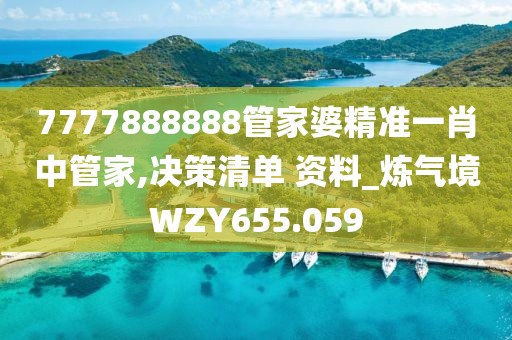 7777888888管家婆精準一肖中管家,決策清單 資料_煉氣境WZY655.059