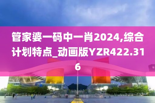 管家婆一碼中一肖2024,綜合計劃特點_動畫版YZR422.316