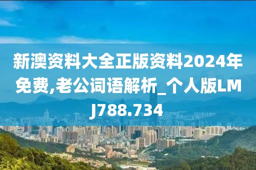 新澳資料大全正版資料2024年免費,老公詞語解析_個人版LMJ788.734