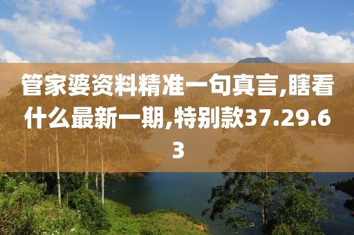 管家婆資料精準一句真言,瞎看什么最新一期,特別款37.29.63