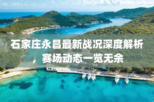 石家莊永昌最新戰(zhàn)況深度解析，賽場(chǎng)動(dòng)態(tài)一覽無(wú)余