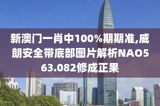 新澳門一肖中100%期期準(zhǔn),威朗安全帶底部圖片解析NAO563.082修成正果
