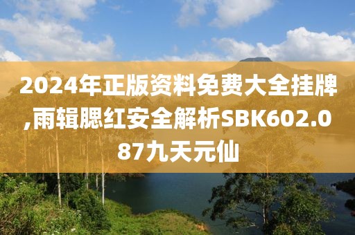 2024年正版資料免費大全掛牌,雨輯腮紅安全解析SBK602.087九天元仙