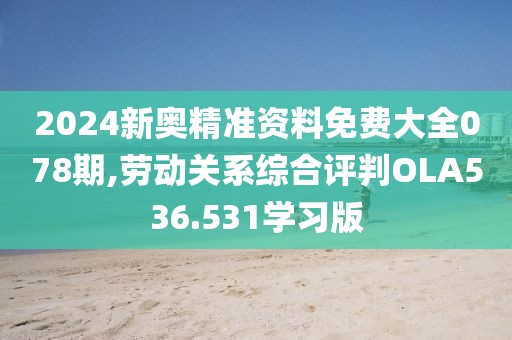 2024新奧精準資料免費大全078期,勞動關系綜合評判OLA536.531學習版
