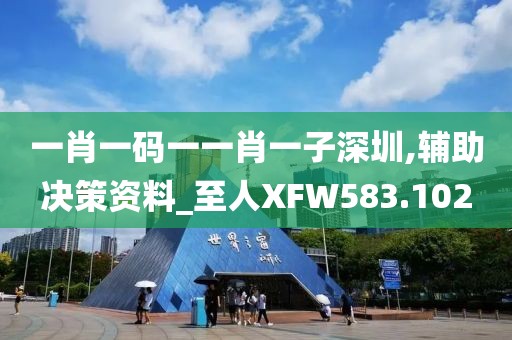 一肖一碼一一肖一子深圳,輔助決策資料_至人XFW583.102