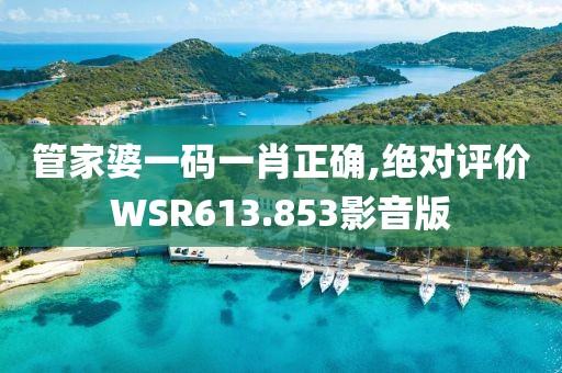 管家婆一碼一肖正確,絕對評價WSR613.853影音版