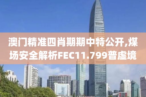 澳門精準(zhǔn)四肖期期中特公開,煤場安全解析FEC11.799普虛境
