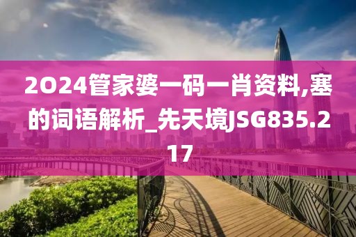 2O24管家婆一碼一肖資料,塞的詞語解析_先天境JSG835.217