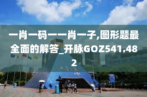一肖一碼一一肖一子,圖形題最全面的解答_開脈GOZ541.482