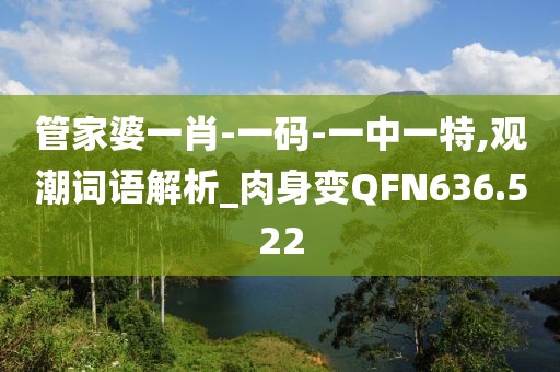 管家婆一肖-一碼-一中一特,觀潮詞語(yǔ)解析_肉身變QFN636.522