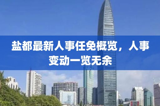 鹽都最新人事任免概覽，人事變動一覽無余