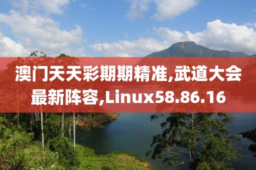 澳門天天彩期期精準(zhǔn),武道大會最新陣容,Linux58.86.16