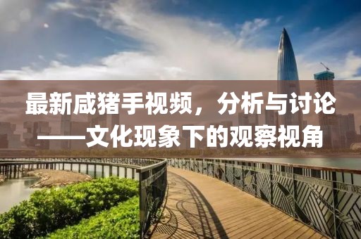 最新咸豬手視頻，分析與討論——文化現(xiàn)象下的觀察視角