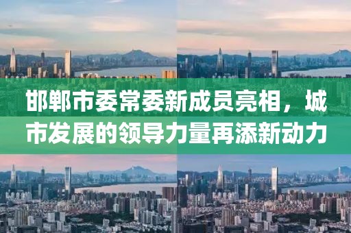 邯鄲市委常委新成員亮相，城市發(fā)展的領(lǐng)導(dǎo)力量再添新動力