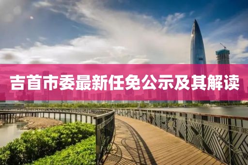 吉首市委最新任免公示及其解讀