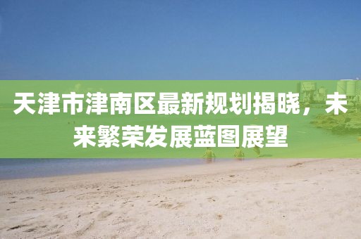 天津市津南區(qū)最新規(guī)劃揭曉，未來繁榮發(fā)展藍(lán)圖展望