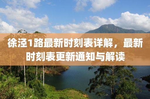 徐涇1路最新時(shí)刻表詳解，最新時(shí)刻表更新通知與解讀