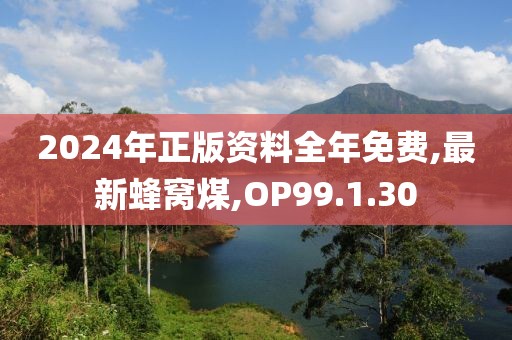 2024年正版資料全年免費,最新蜂窩煤,OP99.1.30