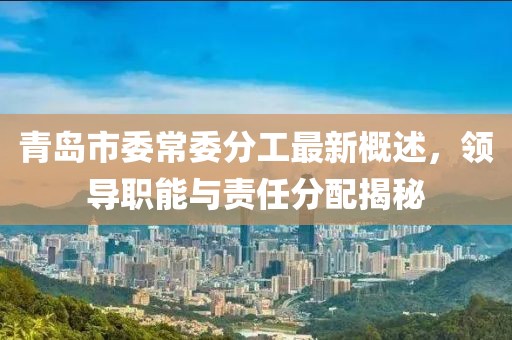 青島市委常委分工最新概述，領(lǐng)導(dǎo)職能與責(zé)任分配揭秘
