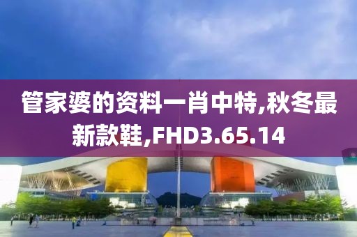 管家婆的資料一肖中特,秋冬最新款鞋,FHD3.65.14