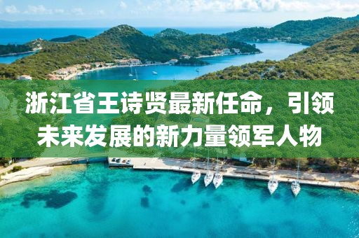 浙江省王詩(shī)賢最新任命，引領(lǐng)未來(lái)發(fā)展的新力量領(lǐng)軍人物