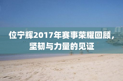 位寧輝2017年賽事榮耀回顧，堅(jiān)韌與力量的見證